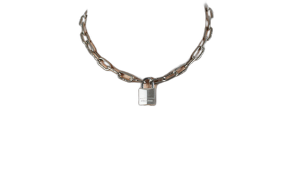 ruff GEAR Pitbull Chain 3mm with 20mm Master Lock
