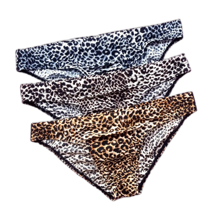 Wild Thoughts Fierce Leopard Men’s Briefs