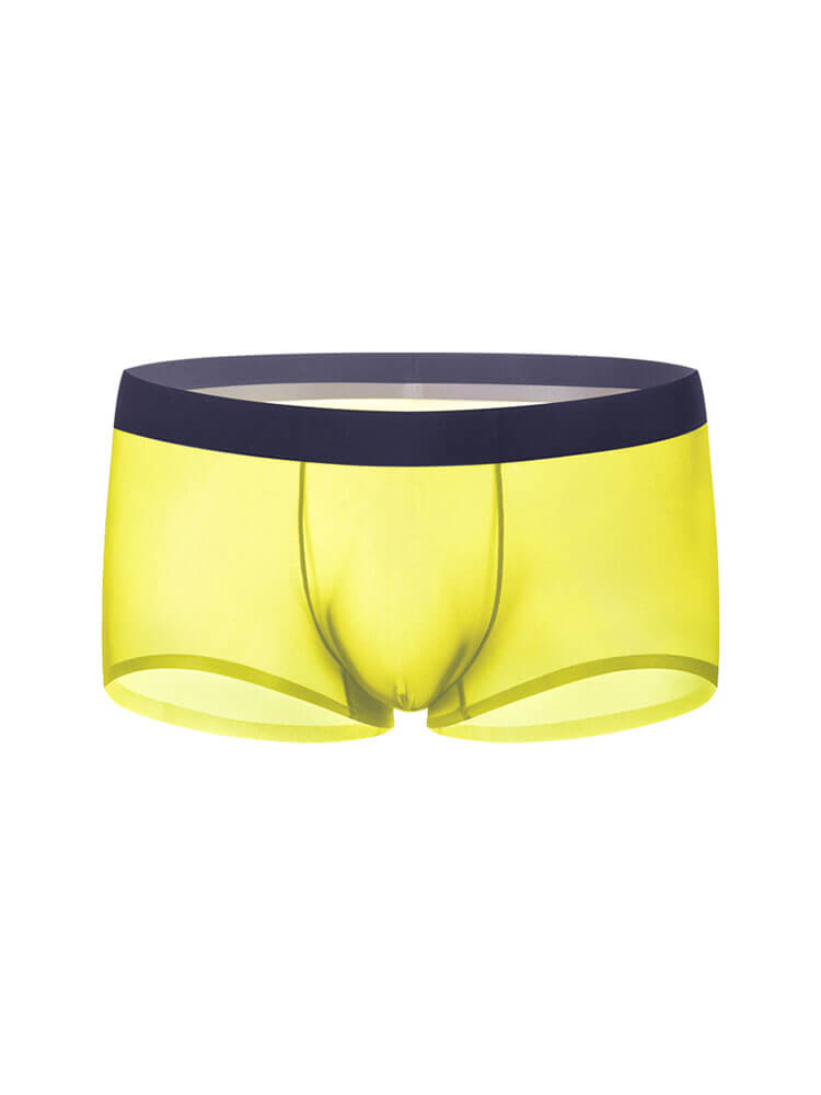 Men's Sheer Ice Silk Thin Pouch Boxer Briefs