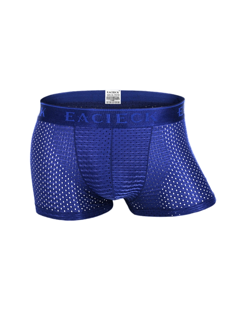 3Pcs Men's Mesh Thin Ice Silk Underwear