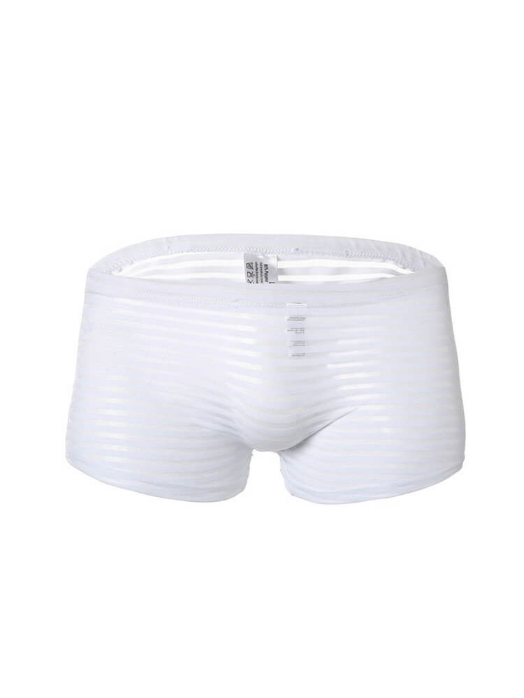 Men's Striped Mesh See-Through Boxer Briefs