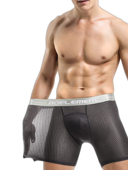 2 Pack Mesh Ice Silk Moisture Wicking Sport Boxer Underwear
