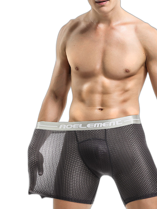 2 Pack Mesh Ice Silk Moisture Wicking Sport Boxer Underwear