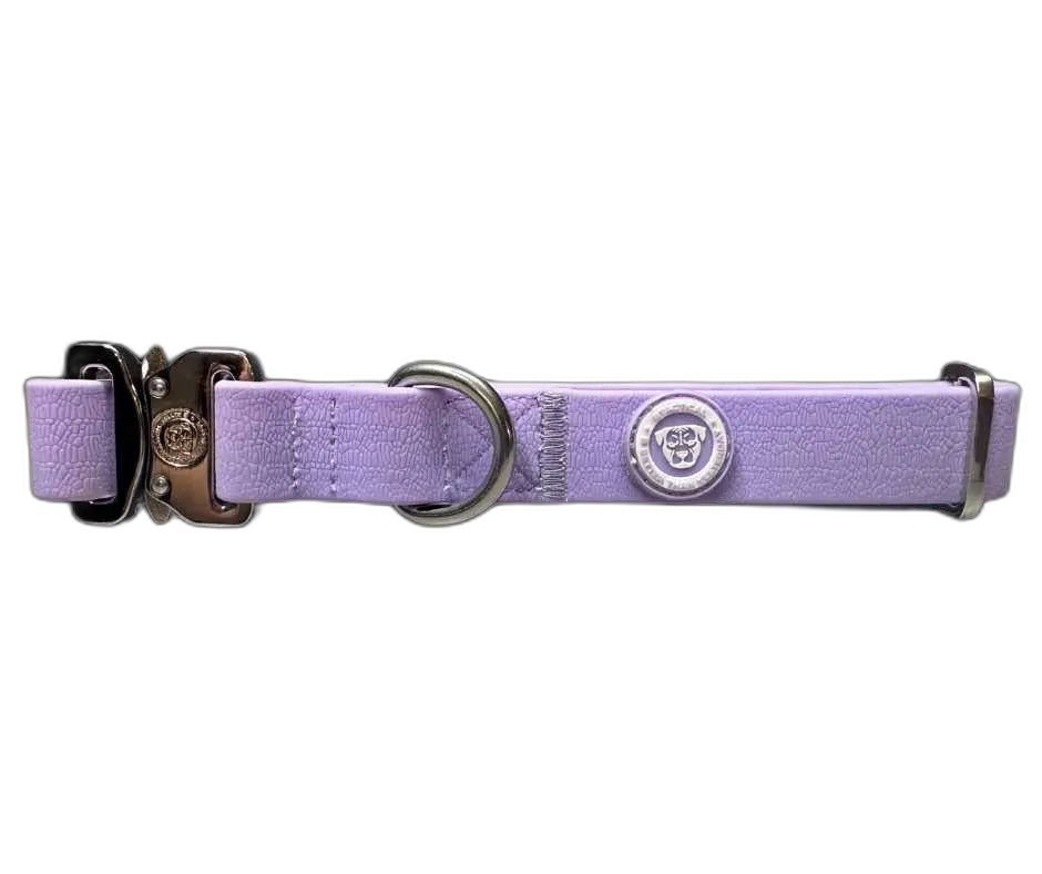 2.5cm Tactical Collar Purple (XS)