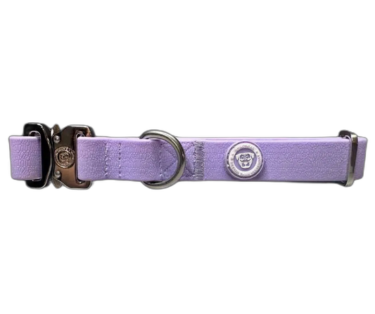 2.5cm Tactical Collar Purple (XS)