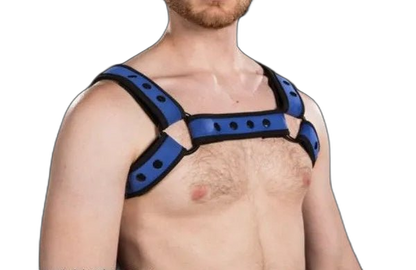 Mr S Leather Neoprene Bulldog Harness | Blue