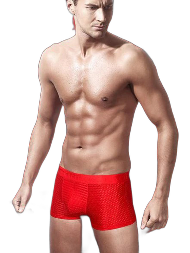 3Pcs Men's Mesh Thin Ice Silk Underwear
