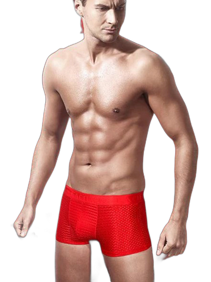 3Pcs Men's Mesh Thin Ice Silk Underwear