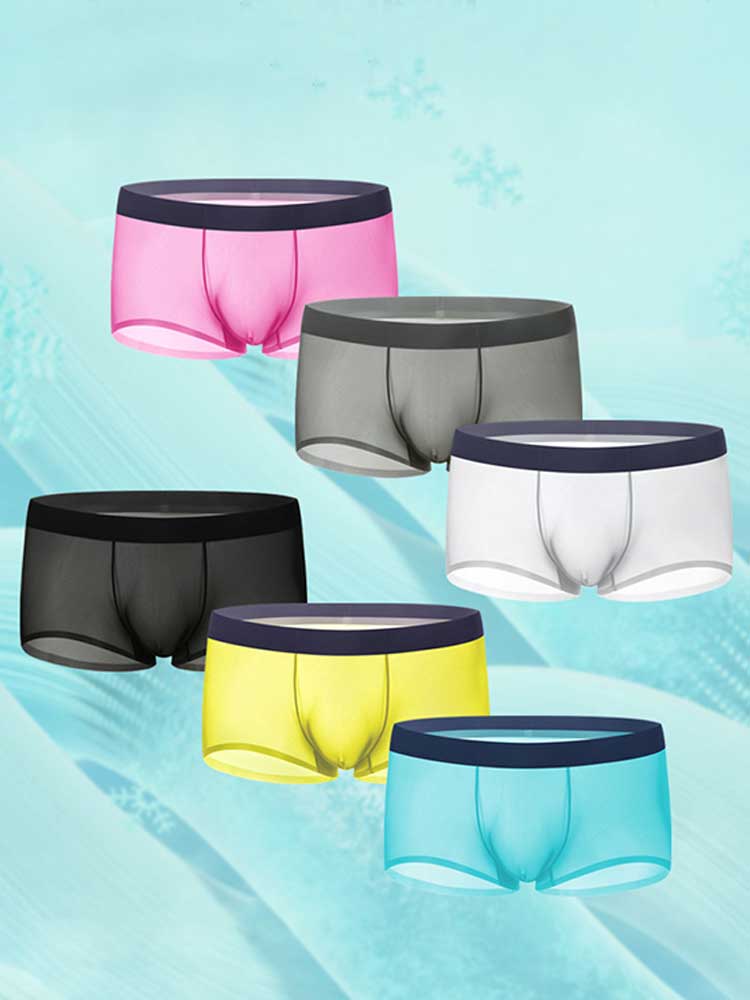 Men's Seamless Low-Rise Sexy Sheer Boxer Briefs