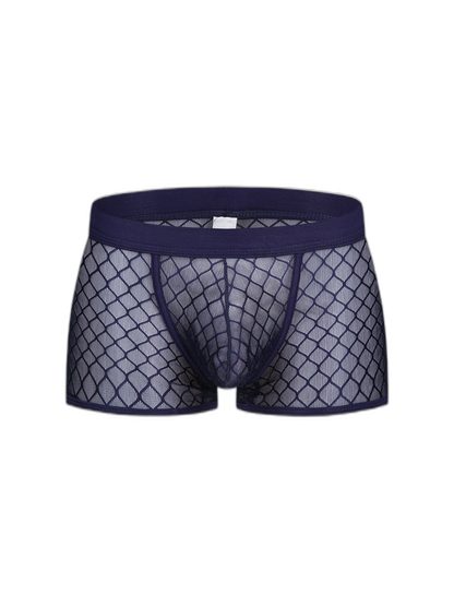 2 Pack Men's Sexy Transparent Mesh Trunks