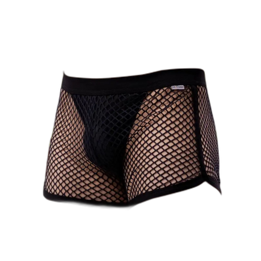AllureFit Sexy Mesh Boxers Briefs