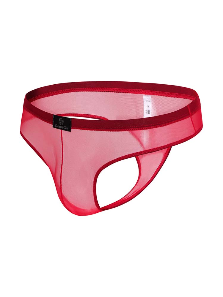 Men's Low Rise Mesh Bikini Thong