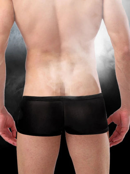 Men's Sexy Thin Low-Rise Ice Silk Boxer Briefs