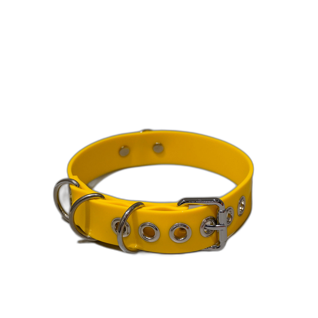 Multi-D Buckle Style Silicone Collar