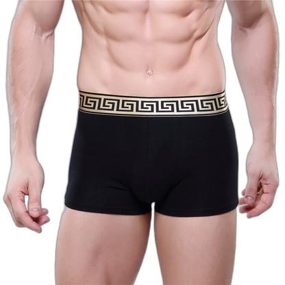 Olympus Boxer Briefs