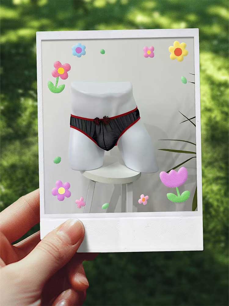 Men's Sexy Lace Sheer Multi-Style Underwear