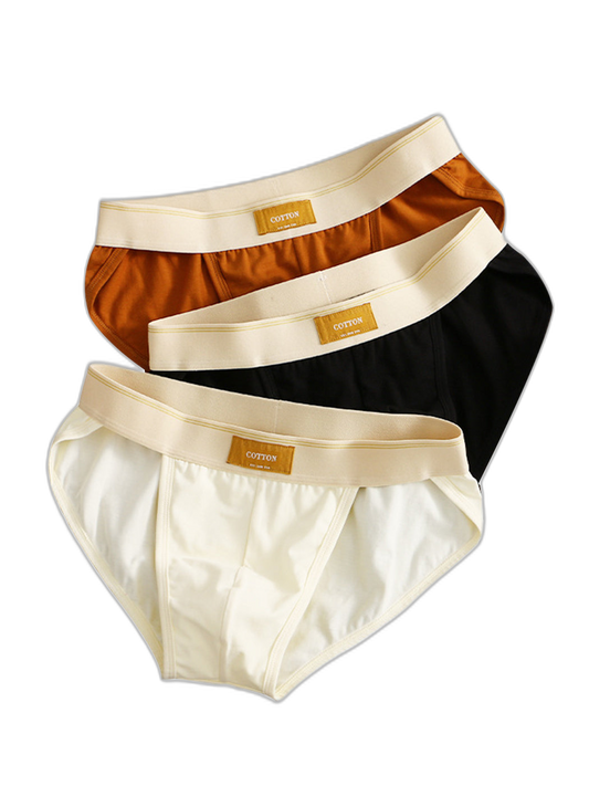 3 Pack Men's Sexy High Cut Cotton Bikini