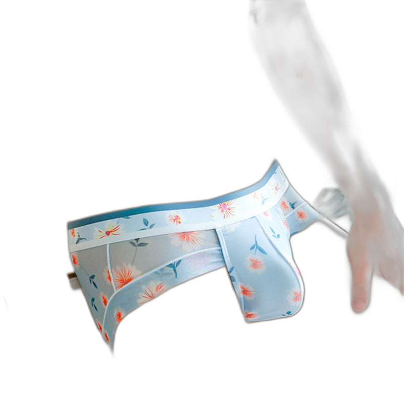 4 Pack Men’s Flower Print Pouch Briefs