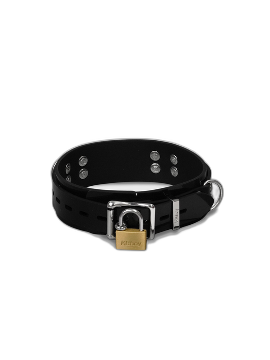 Lockable Buckle 25 Silicone Collar