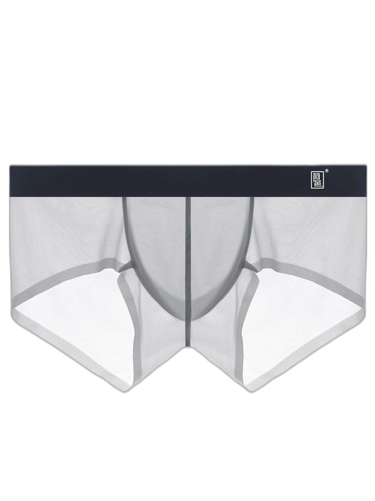 Men's Transparent Sexy Ice Silk Seamless Boxer Briefs