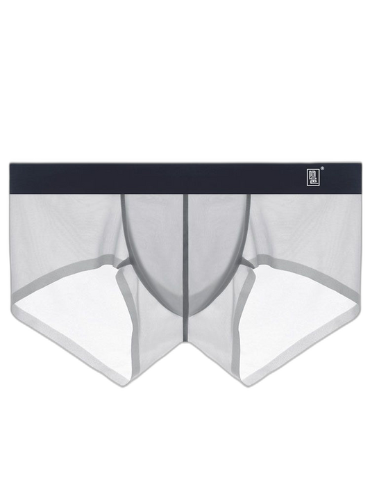 Men's Transparent Sexy Ice Silk Seamless Boxer Briefs