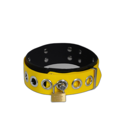 Dual-Colored Silicone Collar
