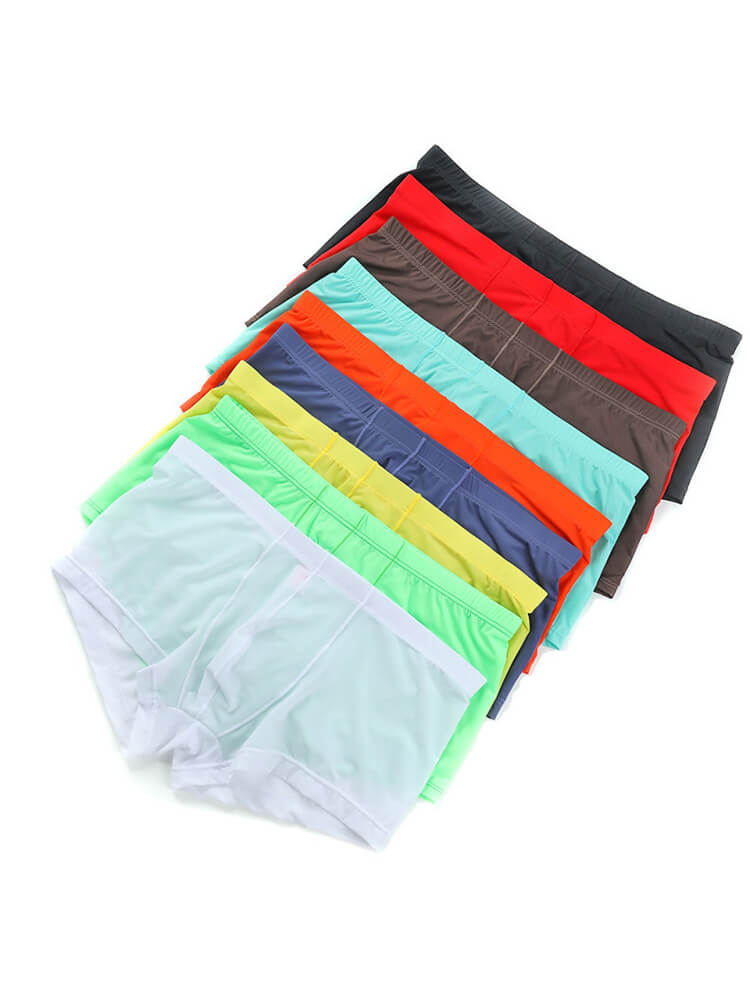 Men's Sexy Low-Rise Thin Transparent Boxer Briefs