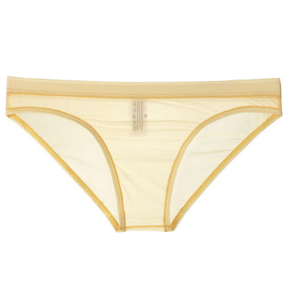 Sheer Mesh Bagless Skinny Briefs