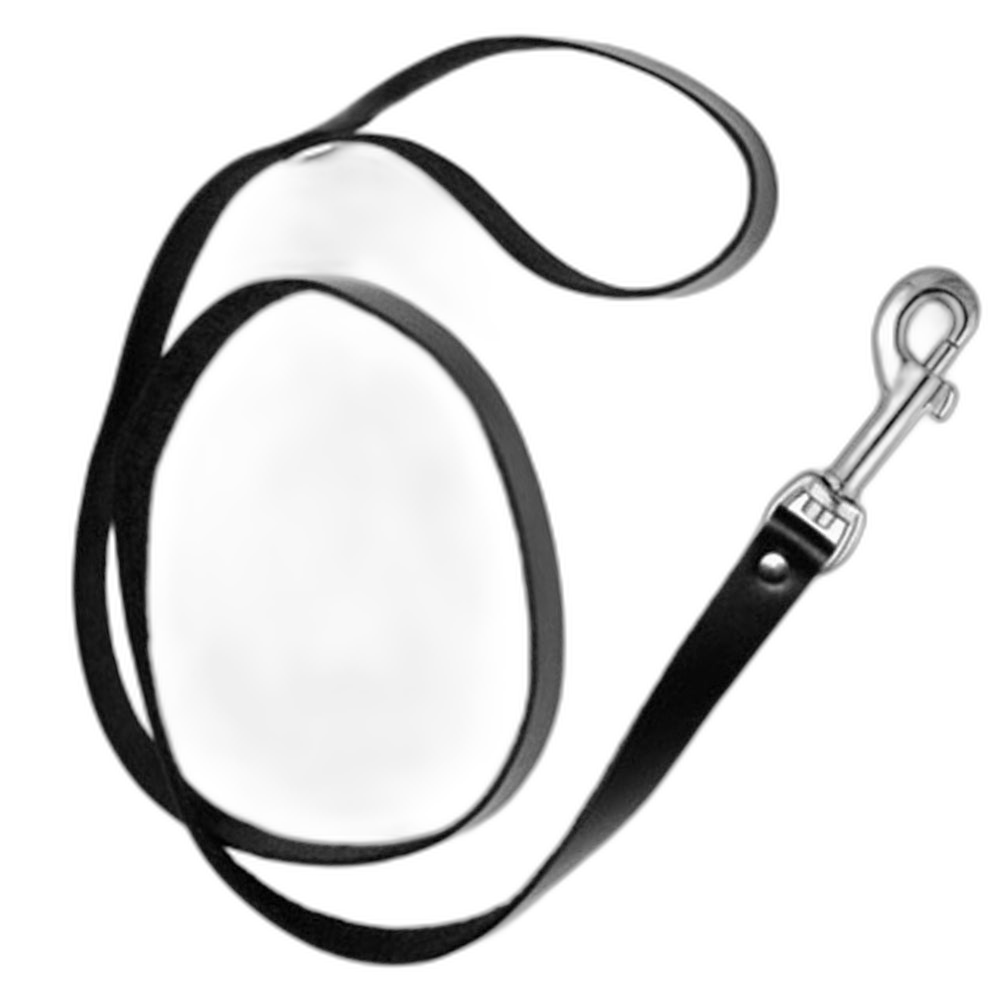 ruff GEAR Leather Leash