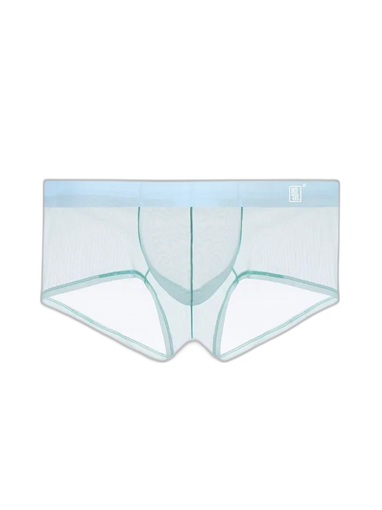 Men's Ultra-thin Low-Rise See-Through Ice Silk Briefs