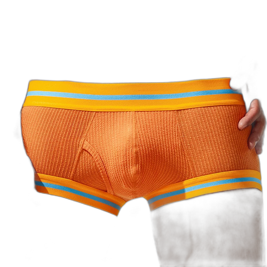 Tauwell Retro Era Boxer Briefs