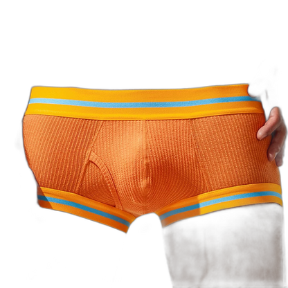 Tauwell Retro Era Boxer Briefs