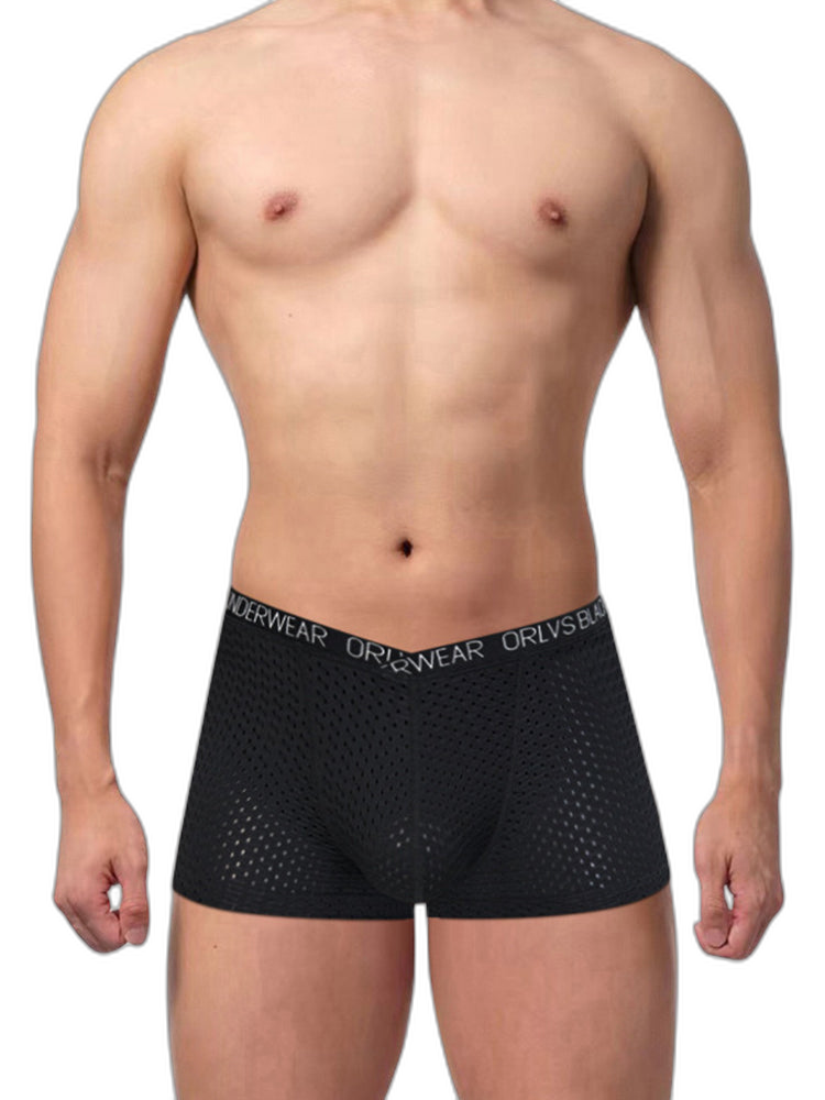 2 Pack Men's Sexy V-shape Waistband Mesh Trunks