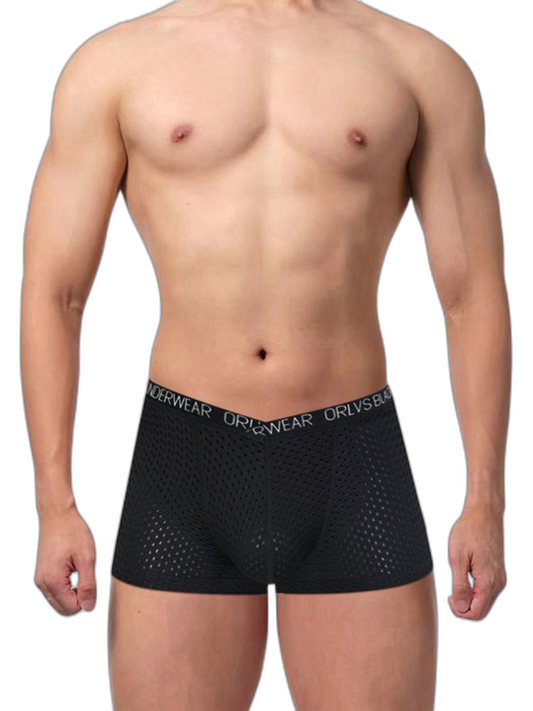 2 Pack Men's Sexy V-shape Waistband Mesh Trunks