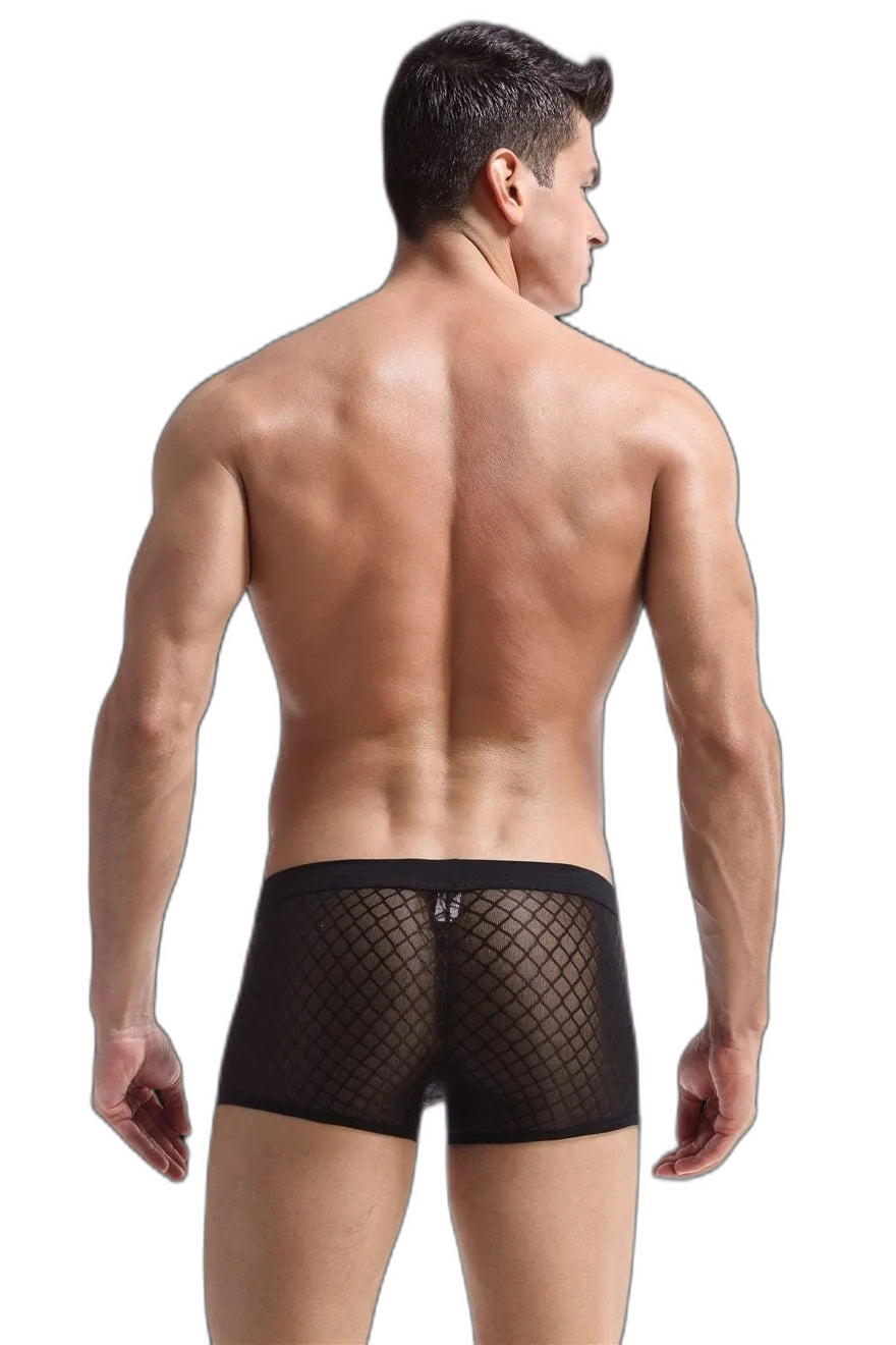 Transparent Mesh Boxers