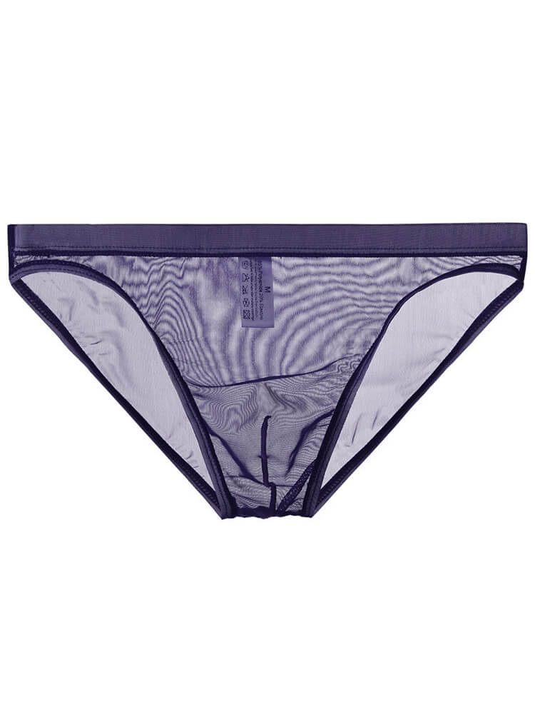 Men's Solid Color Sexy Mesh Transparent Thin Briefs