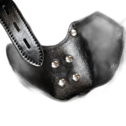 Tumbled Leather Muzzle Harness
