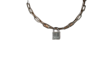 ruff GEAR Pitbull Chain 3mm with 20mm Master Lock