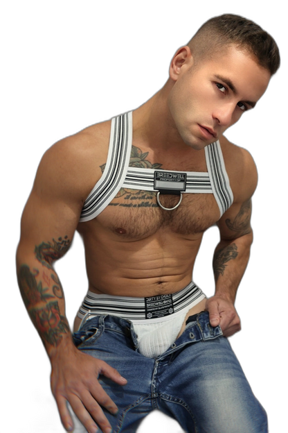 Breedwell Cumdump Bulldog Harness White