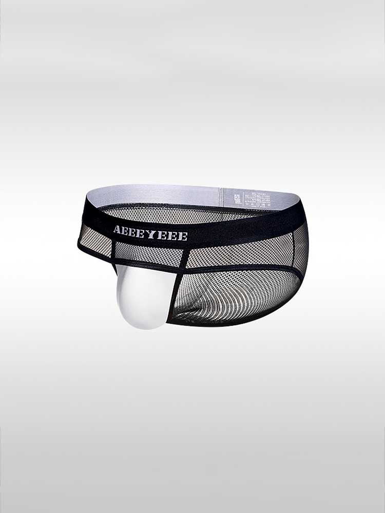 Men's Sexy Sheer Mesh Low-Rise U-Bulge Pouch Briefs