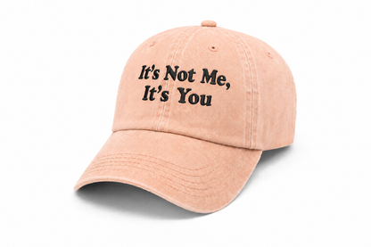 It's Not Me It's You | Stone Washed Embroidered Cap