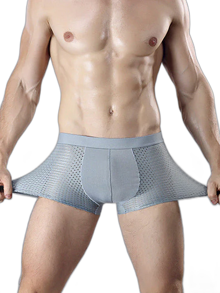 4 Pack Mesh Breathable Ice Silk Underwear Boxer