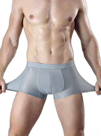 4 Pack Mesh Breathable Ice Silk Underwear Boxer