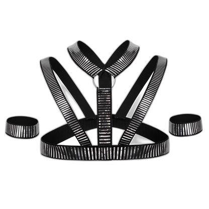 Silver Slave Daddy Harness