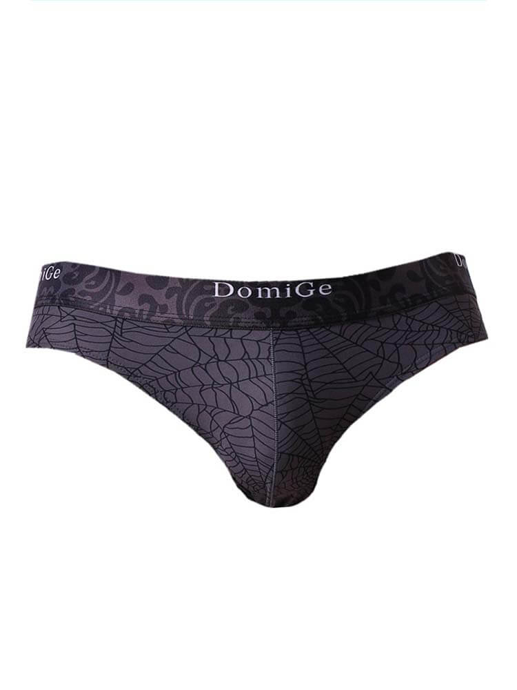 Men's Sexy Personalized Printed Ice Silk Briefs