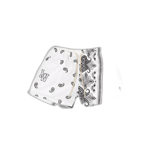 Iron Bandit Sports Shorts