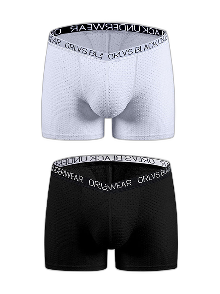2 Pack Men's Sexy V-shape Waistband Mesh Trunks