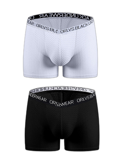 2 Pack Men's Sexy V-shape Waistband Mesh Trunks