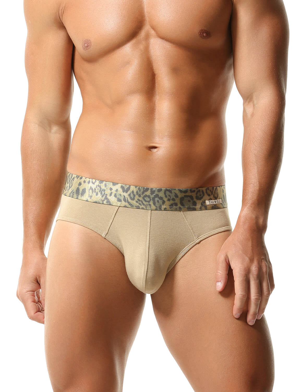 Men's Sexy Leopard Print Panels Cotton Briefs