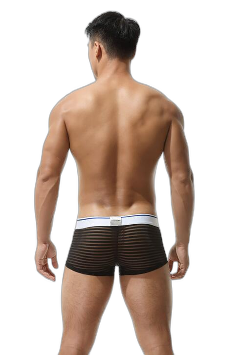 Men's Sexy Transparent Striped Trunks